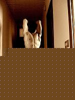Click image for larger version

Name:	per BW 2.jpg
Views:	497
Size:	183.9 KB
ID:	15976095