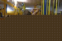 Click image for larger version

Name:	2008_3.jpg
Views:	323
Size:	62.3 KB
ID:	15976430