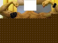 Click image for larger version

Name:	23-06-08 - Copia.jpg
Views:	238
Size:	171.9 KB
ID:	15976442