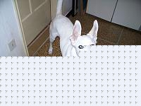 Click image for larger version

Name:	Immagine 035 [].jpg
Views:	85
Size:	46.4 KB
ID:	15977225