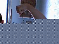 Click image for larger version

Name:	66666.JPG
Views:	163
Size:	57.4 KB
ID:	15977313