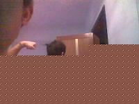 Click image for larger version

Name:	16102008041.jpg
Views:	96
Size:	15.1 KB
ID:	15977664