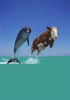 Click image for larger version

Name:	unknown.jpg
Views:	301
Size:	36.8 KB
ID:	15978588