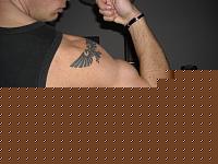 Click image for larger version

Name:	Immagine 020.jpg
Views:	119
Size:	58.6 KB
ID:	15979751