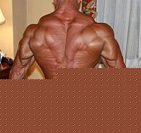 Click image for larger version

Name:	zulab8.jpg
Views:	322
Size:	12.7 KB
ID:	15979826