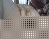 Click image for larger version

Name:	IMG00172.jpg
Views:	50
Size:	76.6 KB
ID:	15979868