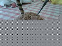 Click image for larger version

Name:	Foto0360.jpg
Views:	75
Size:	90.8 KB
ID:	15980216