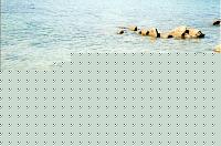 Click image for larger version

Name:	Io! Sono solo muscoli a riposo!!!.jpg
Views:	242
Size:	81.5 KB
ID:	15980610