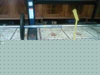 Click image for larger version

Name:	Foto0412.jpg
Views:	95
Size:	110.4 KB
ID:	15980640