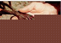 Click image for larger version

Name:	poverta.jpg
Views:	951
Size:	98.6 KB
ID:	15981536