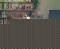 Click image for larger version

Name:	Immag014.jpg
Views:	118
Size:	93.8 KB
ID:	15981899