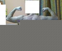 Click image for larger version

Name:	31012010091.jpg
Views:	484
Size:	76.4 KB
ID:	15982361