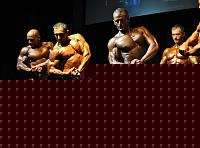 Click image for larger version

Name:	DSC_0069.jpg
Views:	96
Size:	92.7 KB
ID:	15983369