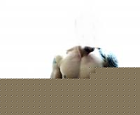 Click image for larger version

Name:	forum1.jpg
Views:	83
Size:	31.8 KB
ID:	15983426