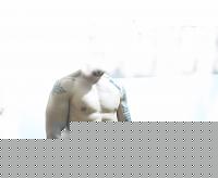 Click image for larger version

Name:	forum 2.jpg
Views:	82
Size:	29.7 KB
ID:	15983427
