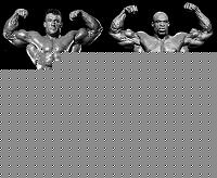 Click image for larger version

Name:	coleman-yates-double-biceps-front.jpg
Views:	243
Size:	65.2 KB
ID:	15983514