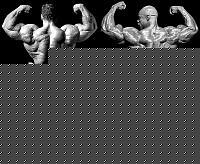 Click image for larger version

Name:	coleman-yates-double-biceps-rear.jpg
Views:	262
Size:	69.4 KB
ID:	15983515