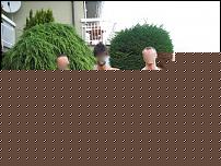 Click image for larger version

Name:	IMG_0009 copia.JPG
Views:	553
Size:	179.0 KB
ID:	15984051