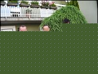 Click image for larger version

Name:	IMG_0004 copia.JPG
Views:	428
Size:	186.7 KB
ID:	15984055
