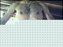Click image for larger version

Name:	Snapshot_20100831_1.jpg
Views:	1379
Size:	57.6 KB
ID:	15984263