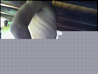 Click image for larger version

Name:	Snapshot_20100831_2.jpg
Views:	1218
Size:	48.7 KB
ID:	15984264