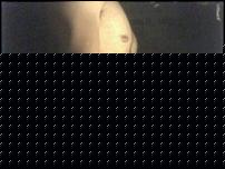 Click image for larger version

Name:	Picture 24.jpg
Views:	96
Size:	9.1 KB
ID:	15984282