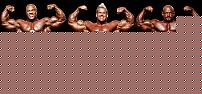 Click image for larger version

Name:	mr_olimpia_2010.jpg
Views:	1863
Size:	61.2 KB
ID:	15984417