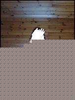 Click image for larger version

Name:	Immag0069.jpg
Views:	88
Size:	184.7 KB
ID:	15984464