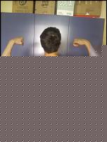 Click image for larger version

Name:	Foto0073.jpg
Views:	277
Size:	77.6 KB
ID:	15985317