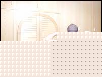 Click image for larger version

Name:	PICT0108.jpg
Views:	605
Size:	141.2 KB
ID:	15985439