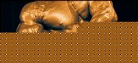 Click image for larger version

Name:	head_fibo_power.jpg
Views:	174
Size:	122.5 KB
ID:	15985546