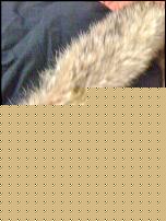 Click image for larger version

Name:	IMG_0083.jpg
Views:	66
Size:	233.5 KB
ID:	15985742