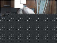 Click image for larger version

Name:	Foto0013.jpg
Views:	498
Size:	96.3 KB
ID:	15985746