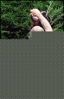 Click image for larger version

Name:	aIMG_4754b.jpg
Views:	1367
Size:	388.2 KB
ID:	15986412