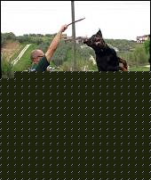 Click image for larger version

Name:	aIMG_4770b.jpg
Views:	1320
Size:	458.0 KB
ID:	15986414