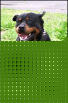 Click image for larger version

Name:	aIMG_4751.jpg
Views:	1336
Size:	333.3 KB
ID:	15986415