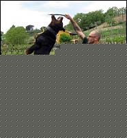 Click image for larger version

Name:	aIMG_4759b.jpg
Views:	1370
Size:	470.4 KB
ID:	15986419