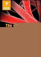 Click image for larger version

Name:	copertina_aidb.jpg
Views:	573
Size:	32.5 KB
ID:	15990564