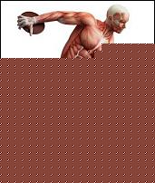 Click image for larger version

Name:	presentazione.jpg
Views:	684
Size:	17.7 KB
ID:	15991545