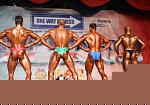 foto x bodyweb