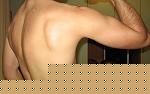 Immagine 002