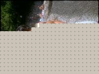Foto0355