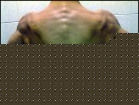309604 165145086897200 100002051292168 325402 7501130 n (1)
