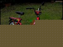 DSCN5705